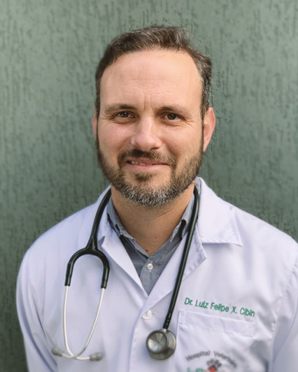Médico Veterinário Dr. Luiz Felipe Ximenes Cibin